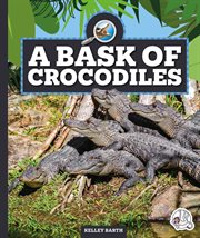 A bask of crocodiles. Safari animal families cover image