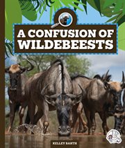 A confusion of wildebeests. Safari animal families cover image