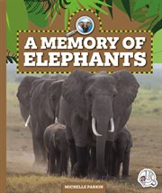 A memory of elephants. Safari animal families cover image
