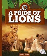 A pride of lions. Safari animal families cover image