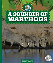 A sounder of warthogs. Safari animal families cover image