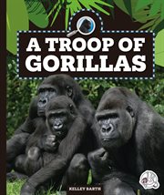 A troop of gorillas. Safari animal families cover image