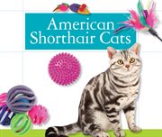 American Shorthair Cats cover image