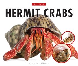 Cover image for Hermit Crabs