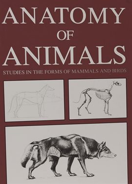 Cover image for Anatomy of Animals: Studies in the Forms of Mammals and Birds