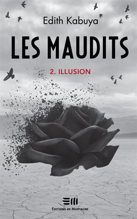 Cover image for Illusion