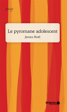 Cover image for Le pyromane adolescent