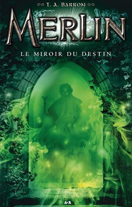 Cover image for Le miroir du destin
