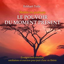 Cover image for Mettre en pratique le pouvoir du moment présent: Enseignement essentiels, méditations et exercic