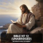 Bible NT 12 cover image