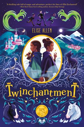 twinchantment series twinchantment series