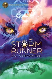 The storm runner cover image