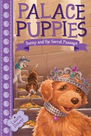 Sunny and the secret passage cover image