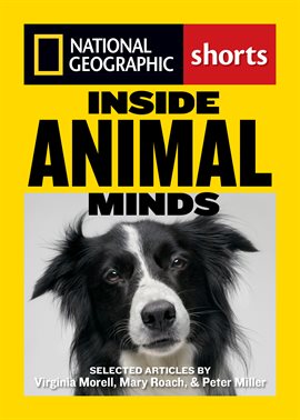 Cover image for Inside Animal Minds