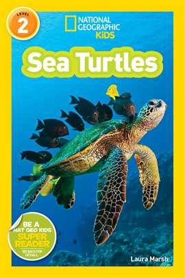 Cover image for National Geographic Readers: Sea Turtles