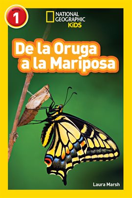 Cover image for National Geographic Readers: De la Oruga a la Mariposa (Caterpillar to Butterfly)