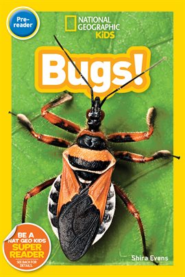 Cover image for National Geographic Kids Readers: Bugs (Pre-reader)