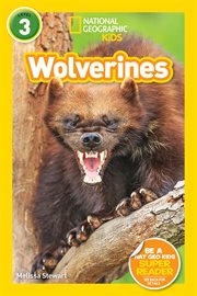 Wolverines cover image
