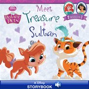 Meet Treasure & Sultan cover image