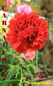 Carnations cover image