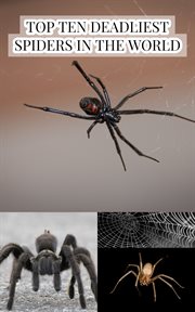 Top ten deadliest spiders in the world cover image