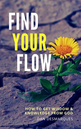 Image de couverture de Find Your Flow