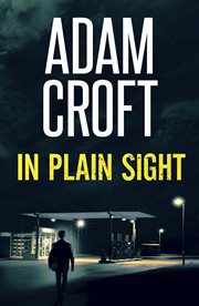 In plain sight cover image