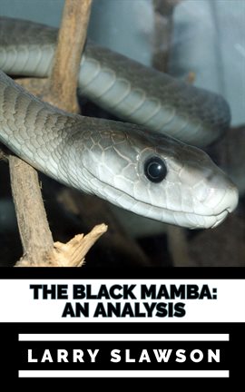 Cover image for The Black Mamba