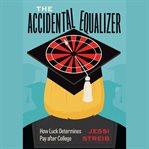 The Accidental Equalizer cover image