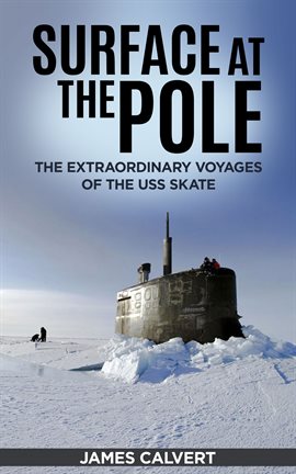 Cover image for Surface at the Pole