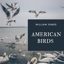Cover image for American Birds