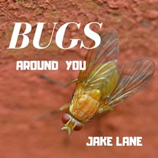 Cover image for Bugs Around You