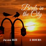 Birds in the city cover image