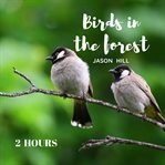 Birds in the forest cover image