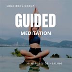 Gudided meditation 30 minutes for healing cover image