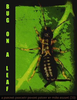 Cover image for Bug on a Leaf