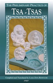 The Preliminary Practice of TSA-TSAS cover image