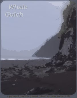 Cover image for Whale Gulch