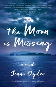 The moon is missing cover image