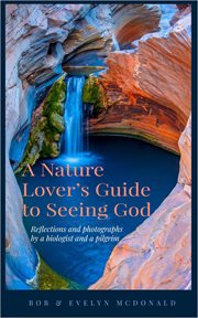 A nature lover's guide to seeing God : reflections and photographs by a biologist and a pilgrim cover image