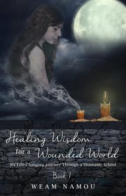 Healing Wisdom for a Wounded World: My Life-Changing Journey Through a Shamanic School (Book 1) cover image