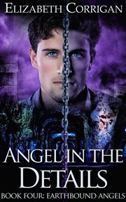 Angel in the details cover image