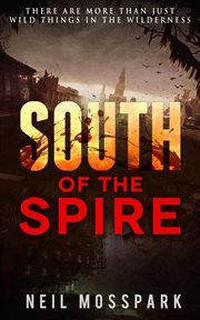 South of the spire cover image