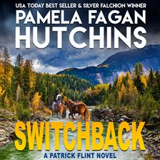 Cover image for Switchback