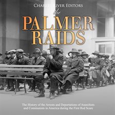 Cover image for The Palmer Raids