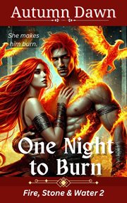 One Night to Burn cover image
