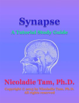Imagen de portada para Synapse: A Tutorial Study Guide