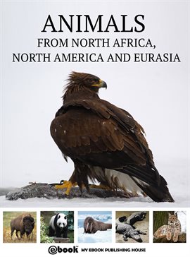 Cover image for Animals from North Africa, North America and Eurasia