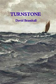 Turnstone cover image
