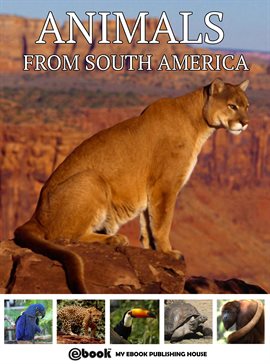 Cover image for Animals from South America